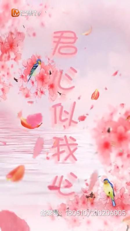 君心似我心第12集