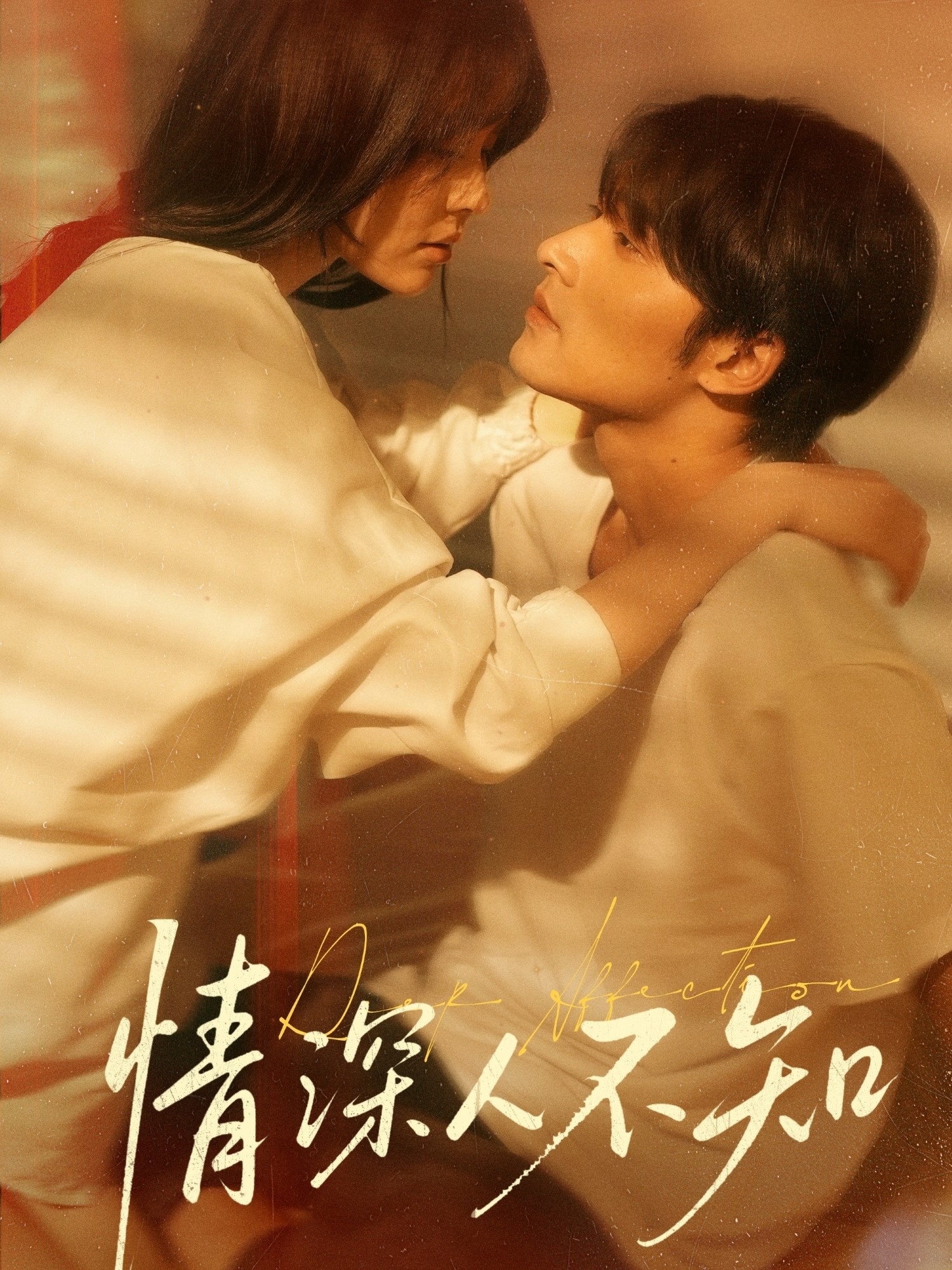 情深人不知第01-30集