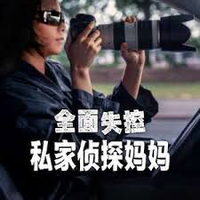 全面失控：私家侦探妈妈