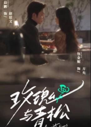 玫瑰与青松(全集)