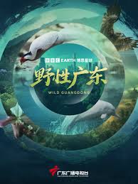 野性广东(全集)