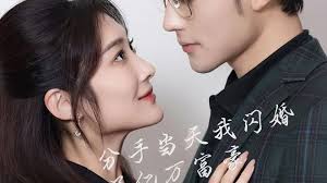 新版：分手当天，我闪婚了亿万富豪第16集