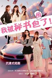 我被秘书包围了第23集