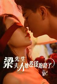 梁先生夫人她卷钱跑路了第16集