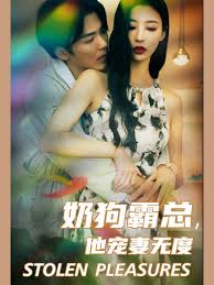 奶狗霸总，他宠妻无度第16集