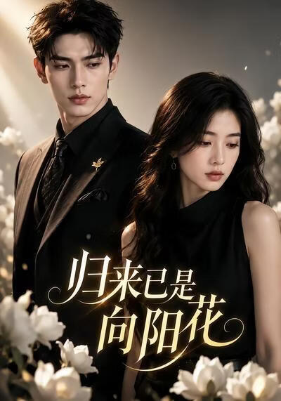 归来已是向阳花(全集)