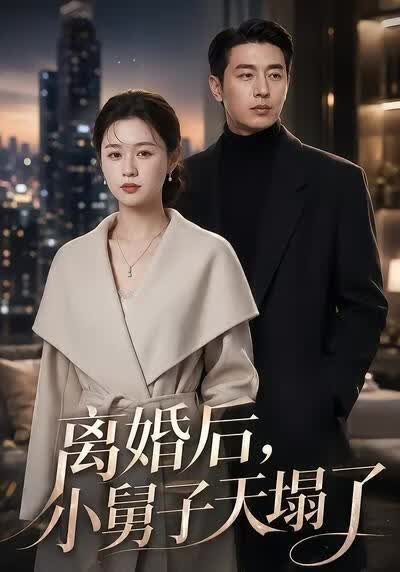 离婚后，小舅子天塌了(全集)