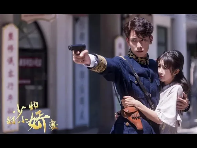 少帅的小娇妻全集(大结局)