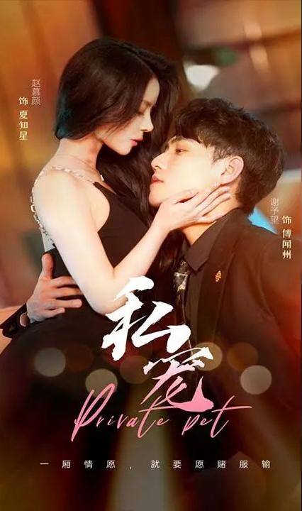 私宠全集(大结局)
